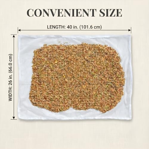 Image of FREE Oil Brush with XULCU 40 x26 cm Large Pure Cotton Papad & Vadagam Drying Cloth, Protective Zipper Net Cover, Reusable Breathable Sun Drying Sheet for Spices, Millets & Grains, Pack of 1 (Beige)