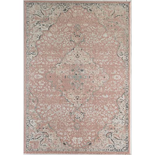 Rugs America Harper Hy50B Pink Amaranth Transitional Vintage Non-Shedding Living Room Bedroom Nursery Dining Home Office Area Rug, 5'0"X7'0" #TOP24