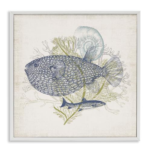 Aquatic Sea Life Rustic Seashell Fish, 24 x 24 Inch Framed Giclée Print