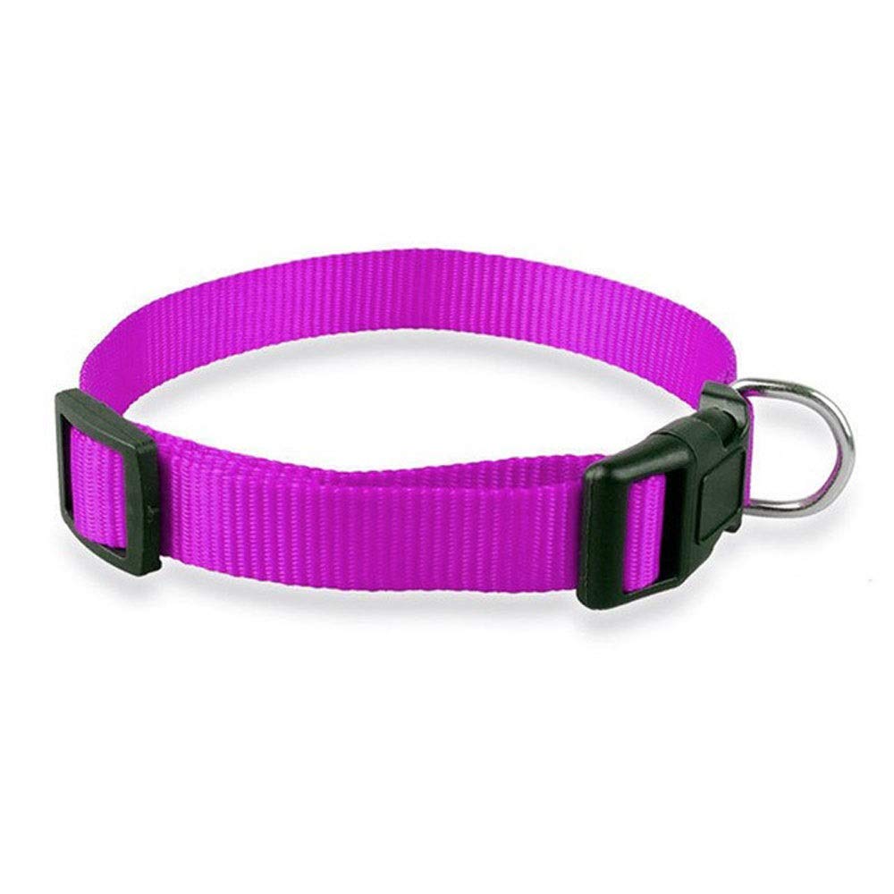 Collier réglable pour chat et chien anti-irritation en nylon