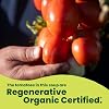 Pacific Foods Organic Spicy Garden Tomato Soup, 32 oz Carton