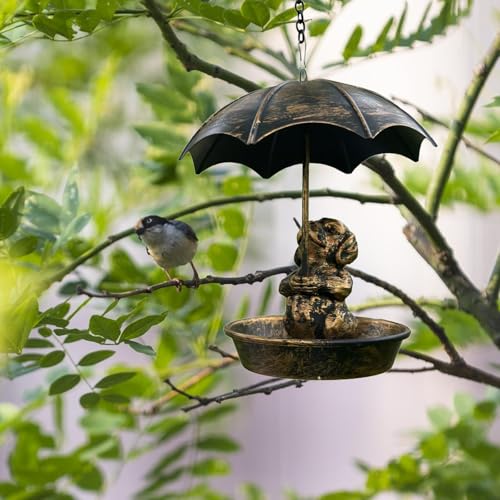 Comedero de aves para jardín Qianly con techo para colibríes y pinzones 6