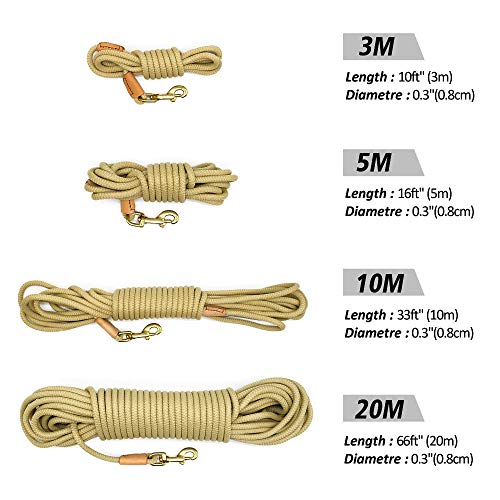 Laisse noire SBJKLYRN en nylon avec crochet métal solide