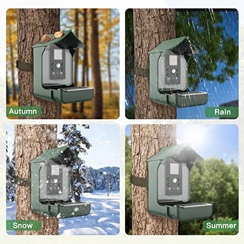 Domplaza Smart Bird Feeder With Camera Pir Motion Detection Hummingbird Feeder House 1080P Hd Night Vision Bird Watching Camera Auto Capture Bird Videos Window Bird Feeder With Card Reader&32G Card #TOP5