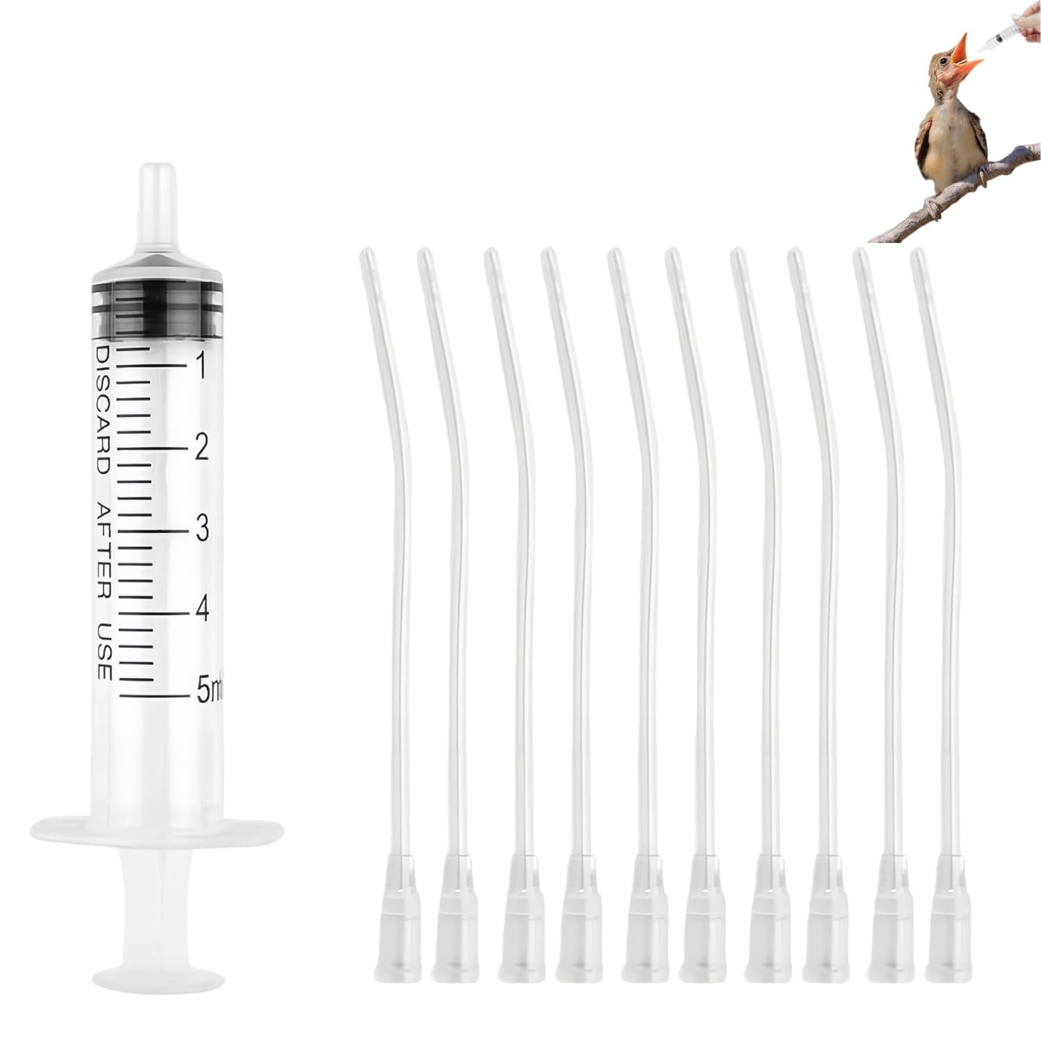 Bébé Oiseau Seringue Alimentation 5 ML Accessoires Pigeons Tortue Colombe Perruches