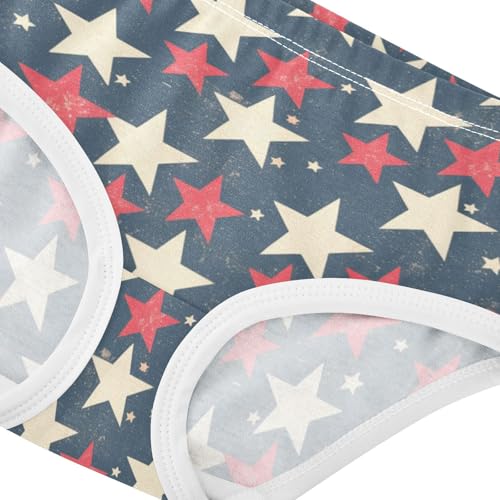 GuoChe Panties All Seasons Panties Briefs Underwear for Kids in Sizes 2T,3T, 4T, 5T, 6Y and 8Y4