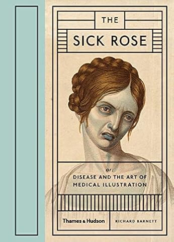 The Sick Rose Disease and the Art of Medical Illustration /anglais