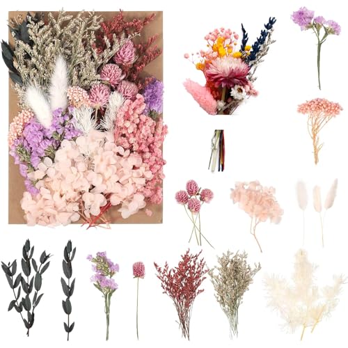 BSITSSS Flores Secas Naturales en Colores Vivos - Prensadas y Decorativas para DIY, Scrapbooking y Manualidades