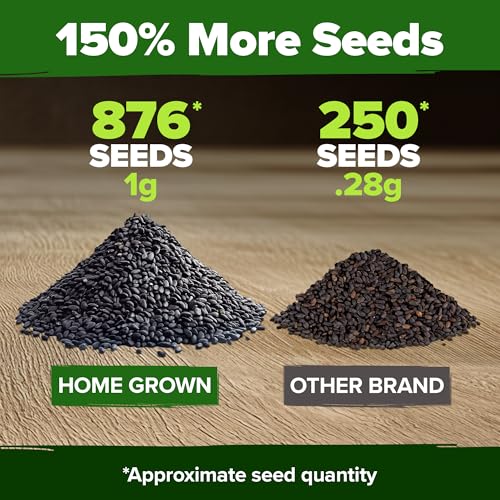 Image of HOME GROWN Thai Basil Seeds Pack - 876 High Germination Heirloom Herb Seeds for Planting,Ideal for Growing Fresh Basil Planting Indoor or Outdoor(Ocimum basilicum VAR.thyrsiflora)