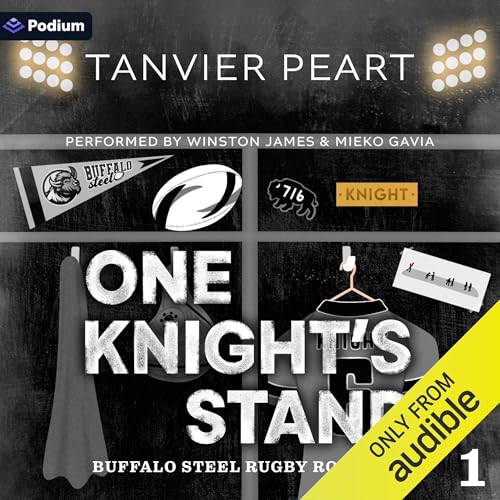 One Knight's Stand cover art