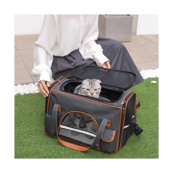 Transporttasche für Katze Hund bis zu 8kg, Faltbare Tragebox für Mittel Kleine Haustiere im Flugzeug, Auto, Zug, Unterwegs mit Tragegurt, Cat Dog Transportbag Transportbox Reisetasche – Bild 7