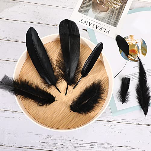 Marforever Black Craft Feathers 8 Styles - 320 Pcs Assorted Mixed Natural Feathers Black Goose Feathers For Diy Crafts Dream Catcher Halloween Costume Wedding Home Party Decoration #TOP1