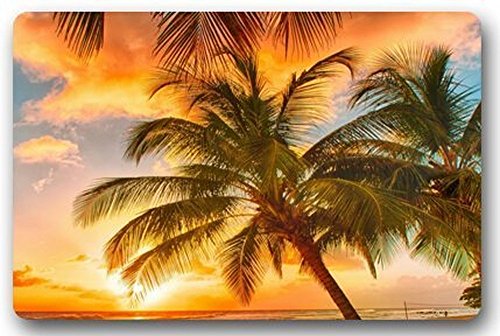 Mugod Custom Andy Paradis Tropical Plage avec Palmiers et Le Seaocean Paillasson Intérieur/extérieur Gate Tapis Tissu antidérapant 45,7 x 76,2 cm Cover