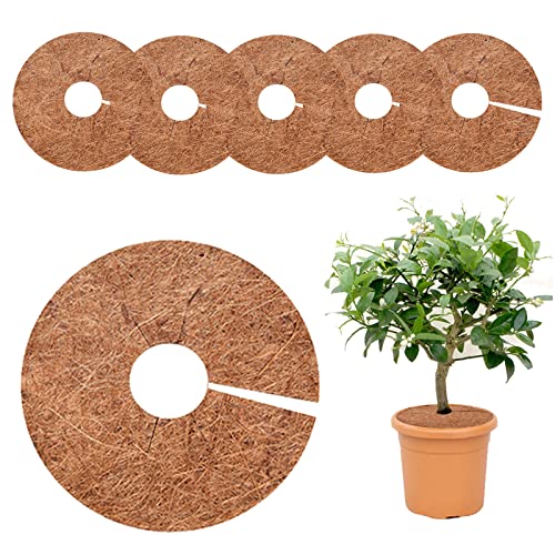 JUDANNA Lot de 6 disques de noix de coco, protection hivernale, protection contre le gel, protection des plantes, protection contre le froid, pour plantes, plantes en pot (20 cm) Cover