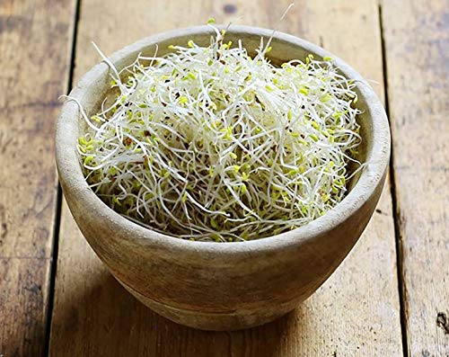 Miniatura 5 de Food to Live - Semillas de alfalfa para brotar, semillas comestibles de 8 onzas, puras, veganas, kosher. Ricas en vitamina K, vitamina C. Alta tasa