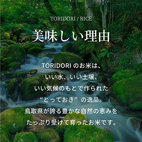 Amazon.co.jp: 【20kg】令和7年産 新米 鳥取県産コシヒカリ 真空パック