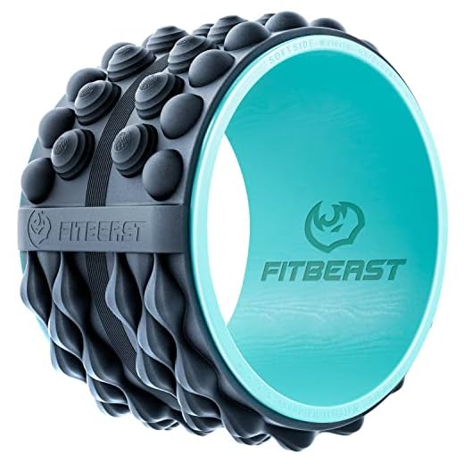 FitBeast Back Stretcher, Back Cracker & Back Roller, Back Pain Relief Product, Yoga Wheel, Foam Roller for Back, Back Stretching & Back Cracking Device, Back Popper (12'', Blue)