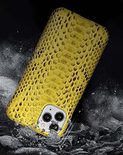 Couverture de téléphone arrière contre rayures étui cuir Python iPhone 13 - 6