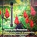 YOFOTHS Adjustable Mini Aquarium Heater 10-20 Gallons Submersible Small Fish Tank Heater 100W Digital Display Thermostat External Temperature Controller (100W)