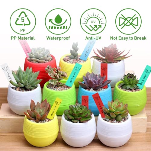 Gucass 300 Stück Pflanzenschilder mit 1 Filzstift, Pflanzenstecker zum Beschriften wetterfest, Stecketiketten Pflanzen Schilder aus Kunststoff Pflanzschilder für Gemüse, Kräuter, Blumen (Weiß+Bunt)
