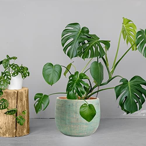 Olly & Rose Bali - Ceramic Green Gold Plant Pot - Large 25cm - Indoor & Outdoor Planters (Green & Gold Large)