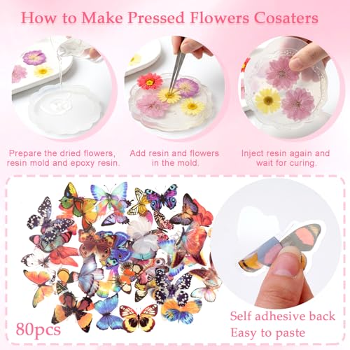228 piezas de flores secas prensadas con stickers de mariposas para manualidades miniatura 5