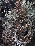 Flower Paint by Numbers Kit for Adults Abstract Paint by Numbers, DIY Colored Canvas Painting Kits Adults with 3 - Brushe and Accessoriess, Home Wall Decor, Gifts for Women 20x26in with Frame M-K2278