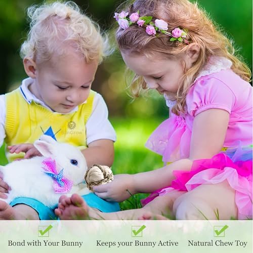 Image of SunGrow Assorted Rabbit & Cat Chew Balls, Teething Activity Toy for Pocket Pets, Improves Dental Health, Environment Friendly, Stress Reliever (Corn Leaf, 6 Pcs)