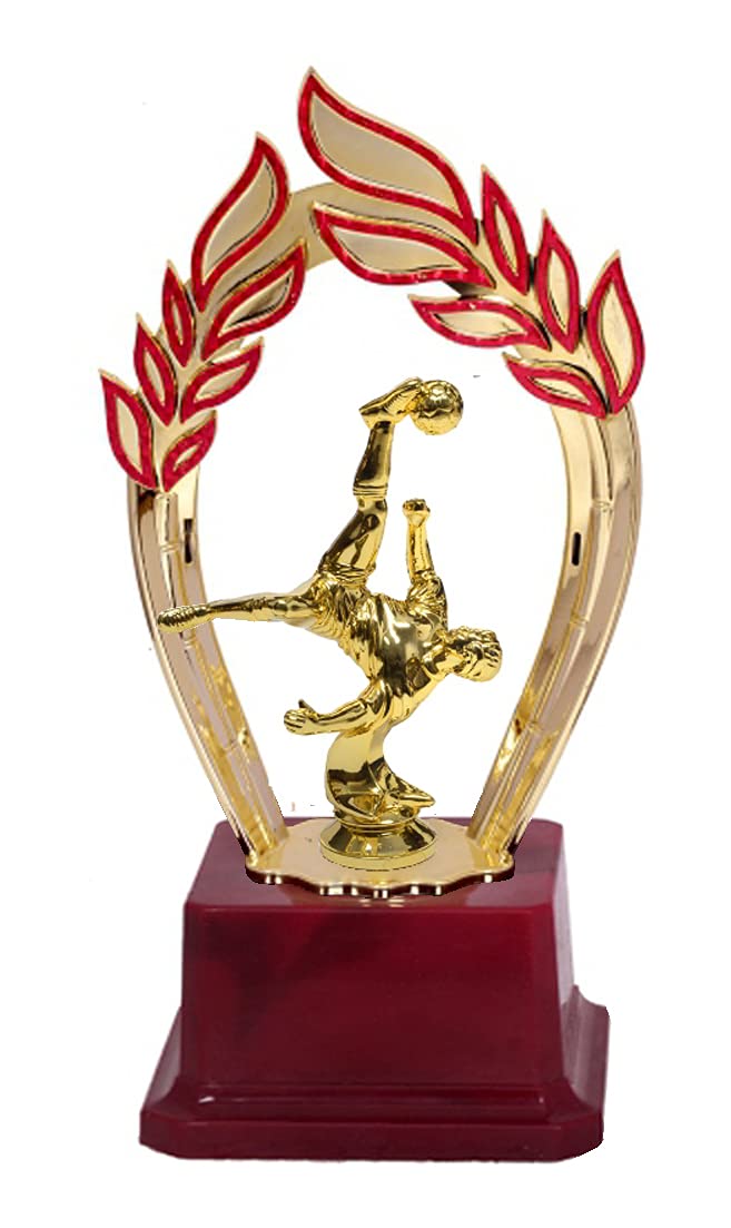 Be Win Winner Golden & Fiber Arch Designed Sports Trophy for Football Sports, Football Events & Functions (B09GVZ559F) Amazon Price History, Amazon Price Tracker