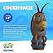 Youtooz Cockroach 4.8