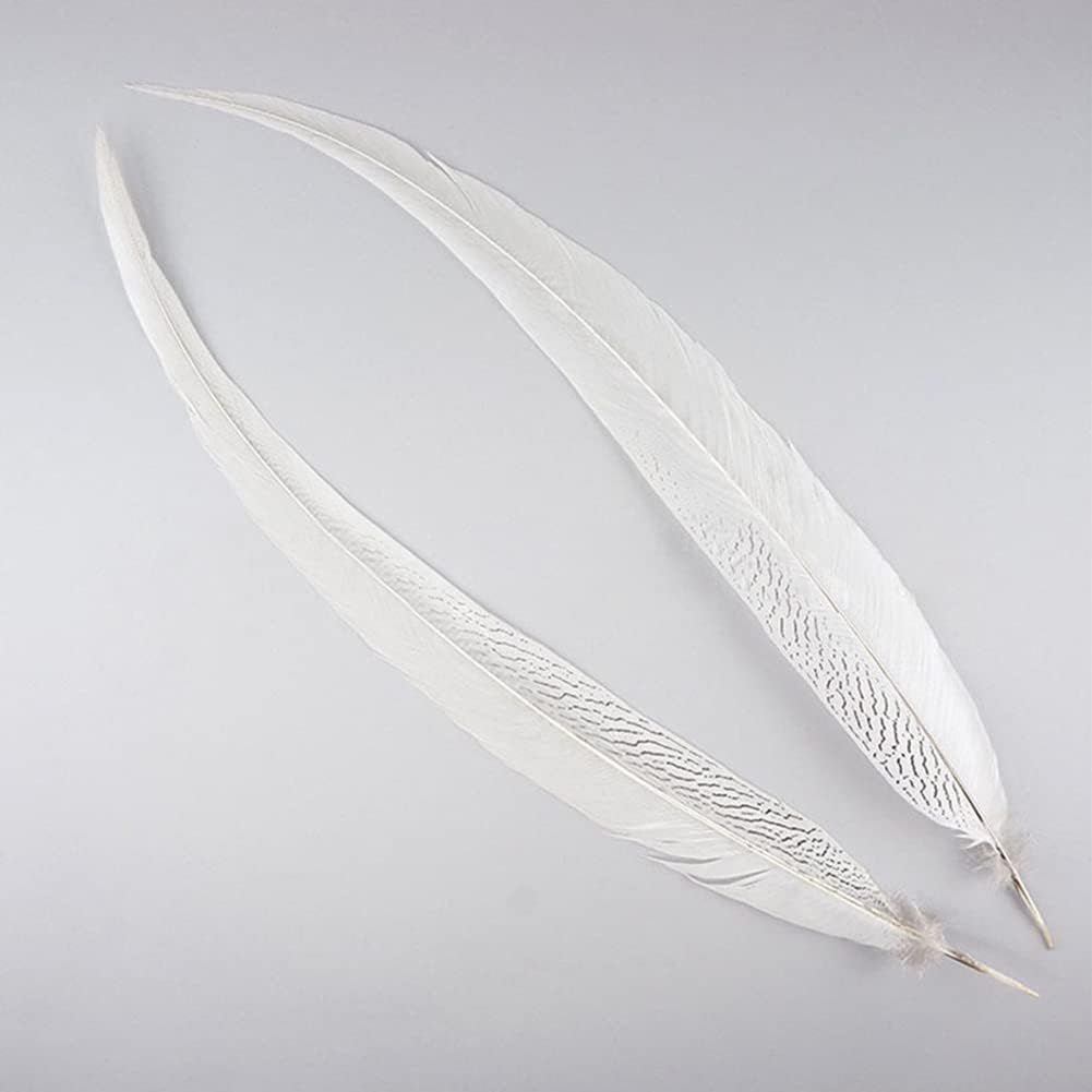 Pheasant Feathers 10 Pieces, White Natural Pheasant Feathers Decorative Chicken Tail Feathers for DIY Crafts, Birthday, Wedding Party Centerpieces, Home Decor