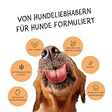 Belly® Hundeparfüm – Duftspray für Hunde & Welpen – Parfüm für Hunde mit fruchtigem Pfirsich – Spray gegen Geruch – pH-neutral – Fellpflege & Hundepflege – 250ml