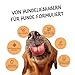 Belly® Hundeparfüm – Duftspray für Hunde & Welpen – Parfüm für Hunde mit fruchtigem Pfirsich – Spray gegen Geruch – pH-neutral – Fellpflege & Hundepflege – 250ml