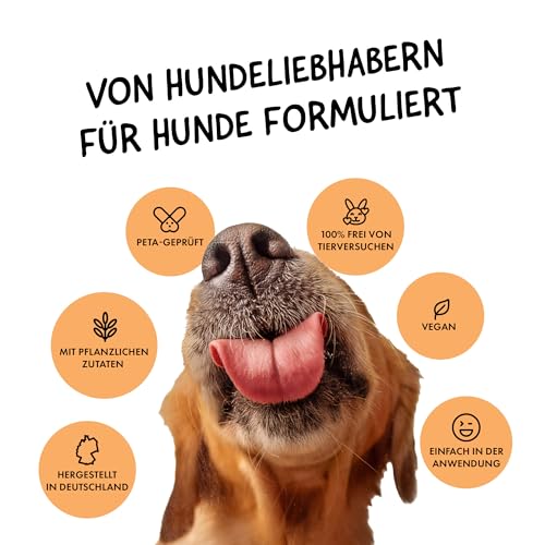 Belly® Hundeparfüm – Duftspray für Hunde & Welpen – Parfüm für Hunde mit fruchtigem Pfirsich – Spray gegen Geruch – pH-neutral – Fellpflege & Hundepflege – 250ml