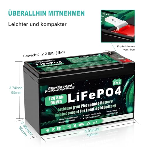 12V 8Ah Lifepo4 Batterie 3000+ Tiefentladungszyklen 12 V Lithium Batterie für Solar/Windenergie, Beleuchtung, Fischfinder, Power Wheels und mehr, 10A BMS