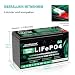 12V 8Ah Lifepo4 Batterie 3000+ Tiefentladungszyklen 12 V Lithium Batterie für Solar/Windenergie, Beleuchtung, Fischfinder, Power Wheels und mehr, 10A BMS