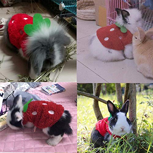 Aniac Bunny Clothes For Rabbits Warm Kitten Vest Fleece Xxxs Dog Shirt Cozy T-Shirt For Bunny Guinea Pig Ferret Puppy Mini Dog And Small Animals (2S(Chest Girth 10.6")) #TOP5