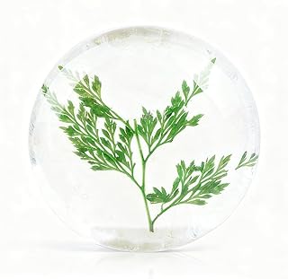 Jabón limpiador de aminoácidos con pH equilib...