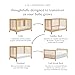 Babyletto Gelato 4-in-1 Baby Crib Convertible to Wooden Toddler Bed, Daybed & Full-Size Bed, GREENGUARD Gold Certified - Made of 100% Solid Wood, Includes Toddler Conversion Kit - Honey with Vegan Tan