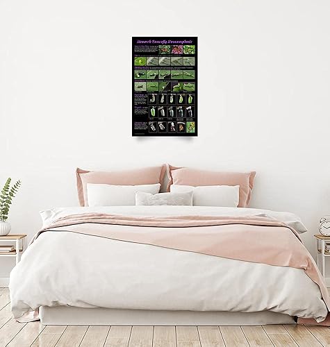 Miniatura 2 de Imagekind Valerie Evanson, diseño de póster de metamorfosis de mariposa monarca con fotos de Valerie Evanson, póster artístico, decoración de pared,