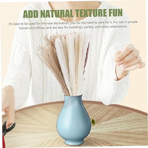 Alipis 240 Peças Flores De Junco Secas Enfeite De Dragão Cana Eterna Natural Decoração De Junco Pres