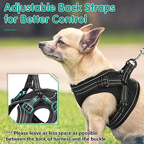 double d ring dog harness