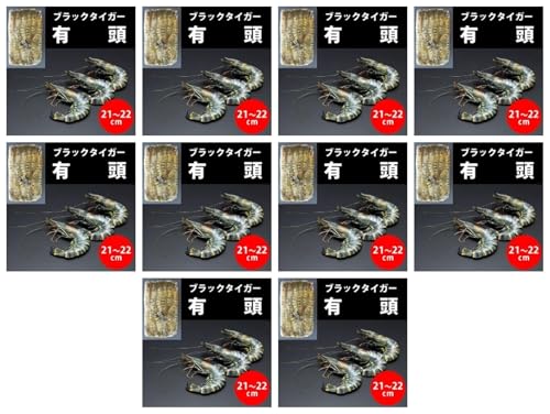 LubN^CK[ 20×10pbN (܂Ƃߔ) (VandroSt)