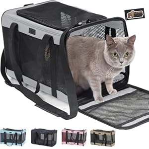 GORILLA GRIP Airline Travel Cat Carrier Bag Up to 15 Lbs, Breathable Mesh Collapsible Pet Carriers for Small, Medium Cats, Small Dogs, Puppies, Portable Kennel with Soft Washable Waterproof Pad Gray GORILLA GRIP Airline Travel Cat Carrier Bag Up to 15 Lbs Breathable Mesh Collapsible Pet Carriers for Small Medium Cats Small Dogs Puppies Portable Kennel with Soft Washable Waterproof Pad Gray