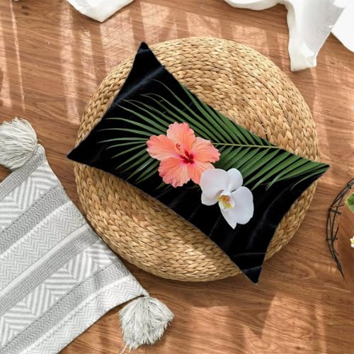 �m���f�B�b�N �N�b�V�����J�o�[ 30x50 1���Z�b�g �h�� ���� �N�b�V�����J�o�[ �����` �B���t�@�X�i�[ ���z�c�J�o�[ 50x30cm �􂦂� ���ʈ�� �N�b�V�������΁[ �_�炩 �T���T���̔��G�� �ȒP���E �K�p�Ώ� �t �� �H �~ �z�[���f�R���[�V
