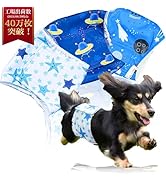 Amazon.co.jp: 【獣医師監修】 マナーベルト 犬 男の子 3点