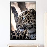 Framed Canvas Wall Art Cheetah Animals Cheetah Dramatic Living Room Multicolor Photography - 16x24 inches