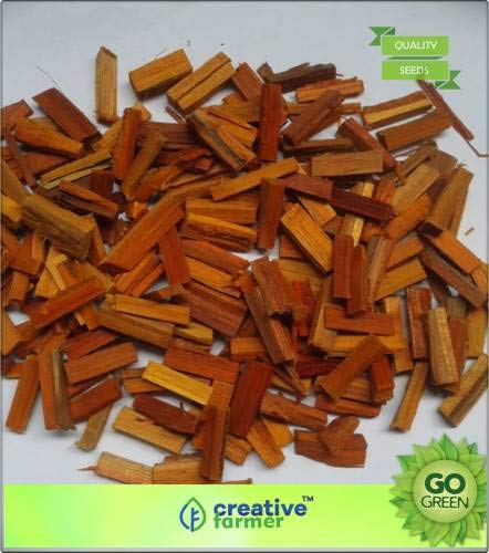 Pinkdose Tree Seeds Ornamental Tree Sappan Wood is A Small Thorny Tree Seed