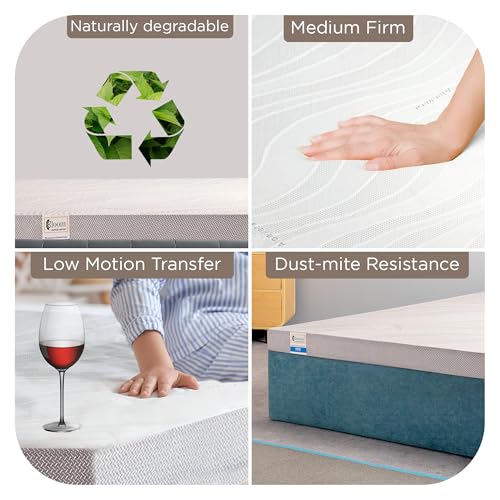 Image of MM FOAM Bloom 100% Natural Latex Mattress with 10 Years Warranty | Pure Certified Latex | Free Micro Fiber Pillows | (King 72 x 72 x 8)