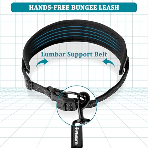 Philorn Joggingleine Hunde, Freihändig Laufleine, Bauchgurt Hundeleine zum Joggen Laufen Wandern mit Dual Griffe, Reflektierende Nähte (Schwarz)
